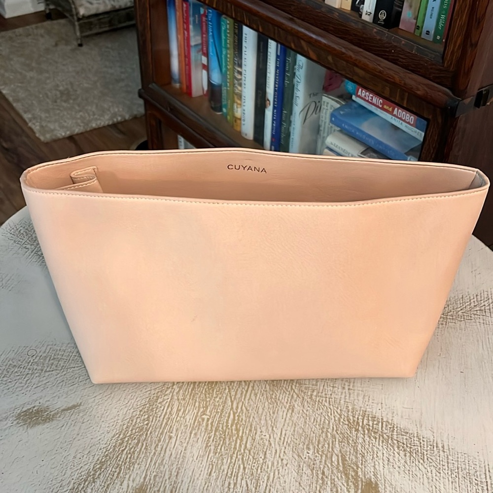 Cuyana small bag organizer